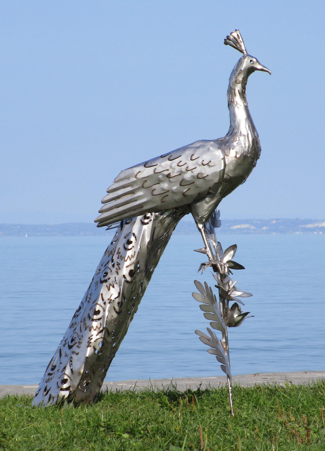 Pfau (edelstahl) 50x75x118 5,5kg
