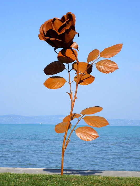 Rose 305 (rostig) 165x152x305  31kg