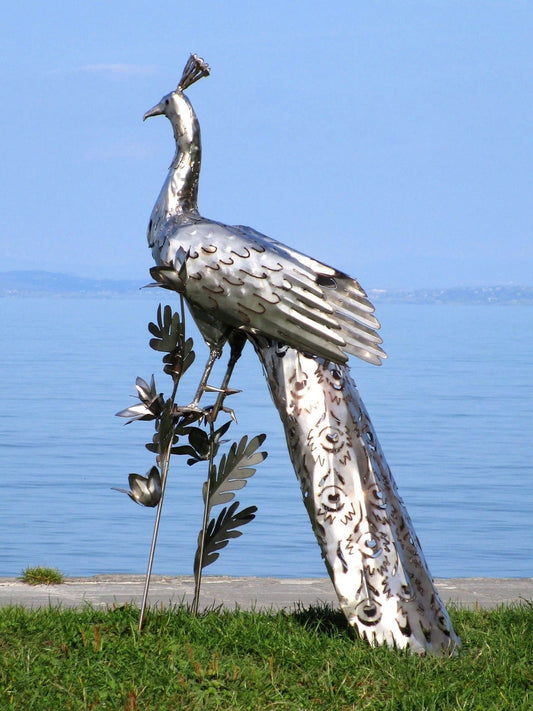 Pfau (edelstahl) 50x75x118  5,5kg