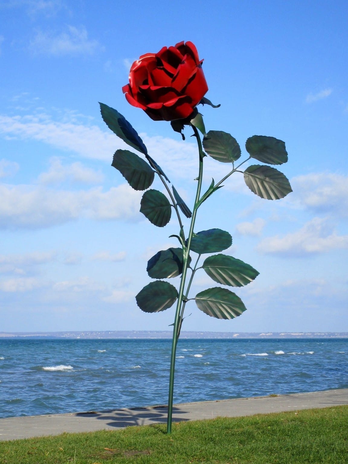 Rose Lackiert (305) 165x152x305  31kg