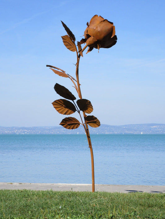 Rose 250 (rostig) 202x115x250  13,5kg