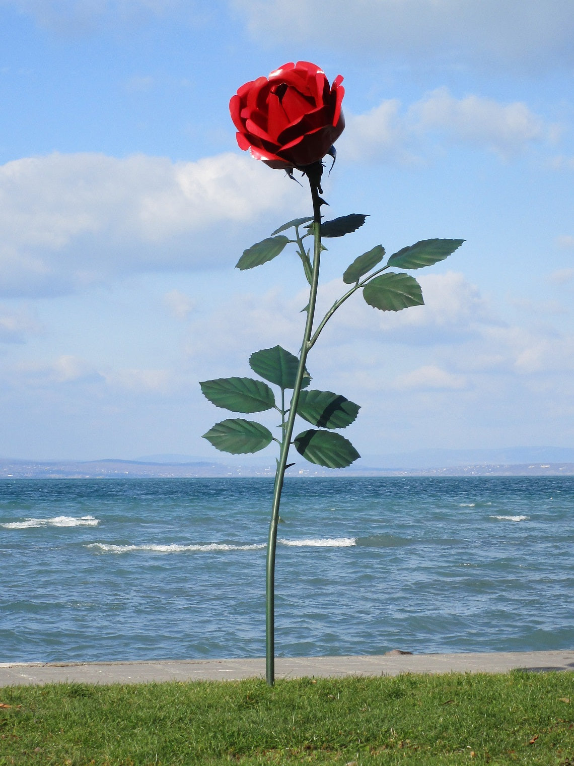 Rose 250 (lackiert) 102x115x250  13,5kg