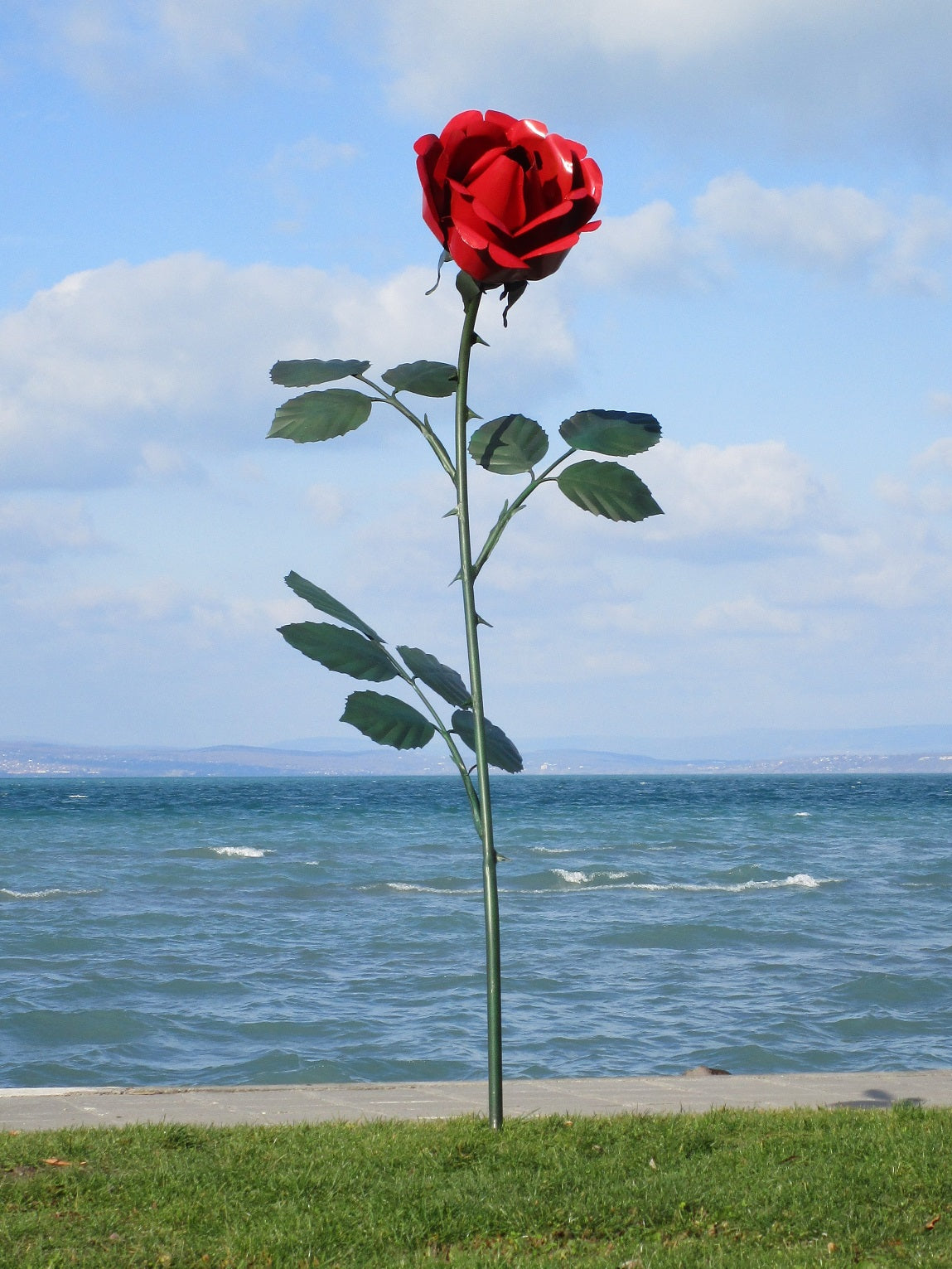 Rose 250 (lackiert) 102x115x250  13,5kg